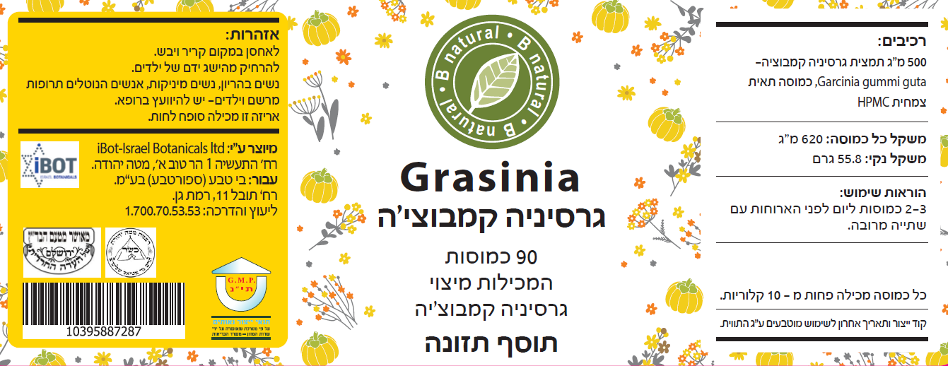 גרסיניה קמבוצי'ה