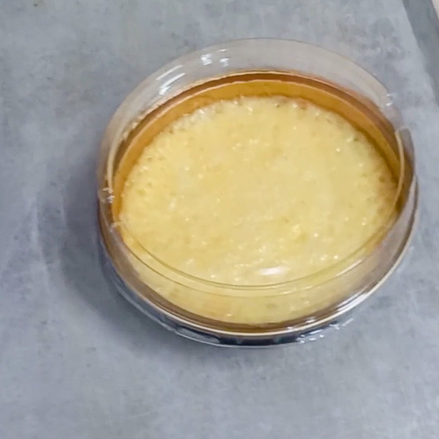 קרם ברולה ללא תוספת סוכר, ללא גלוטן, 0.15 ק”ג, כשר, חלבי