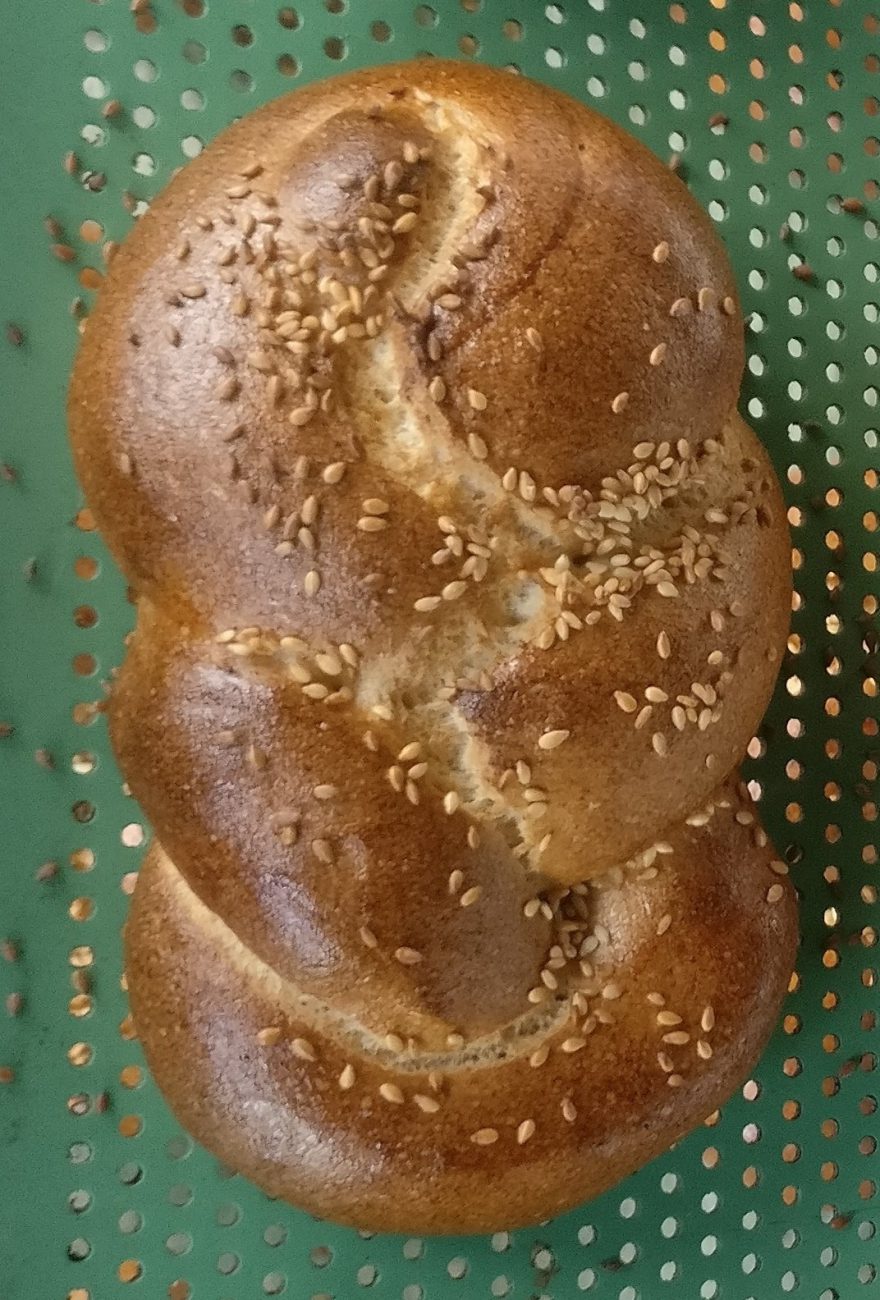 مبيض صغير خالٍ من الجلوتين